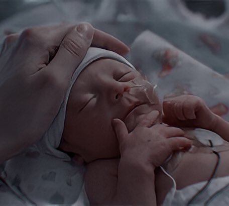 idontmindcw's tweet image. Meu pequeno, você é forte, vai sair daí logo logo e vai voltar pros nossos braços pra irmos embora pro seu verdadeiro lar com seus dois irmãozinhos de quatro patas. Papai promete, com todo coração, que você vai sair dessa. Te amo com toda minha vida, Huxley 💙