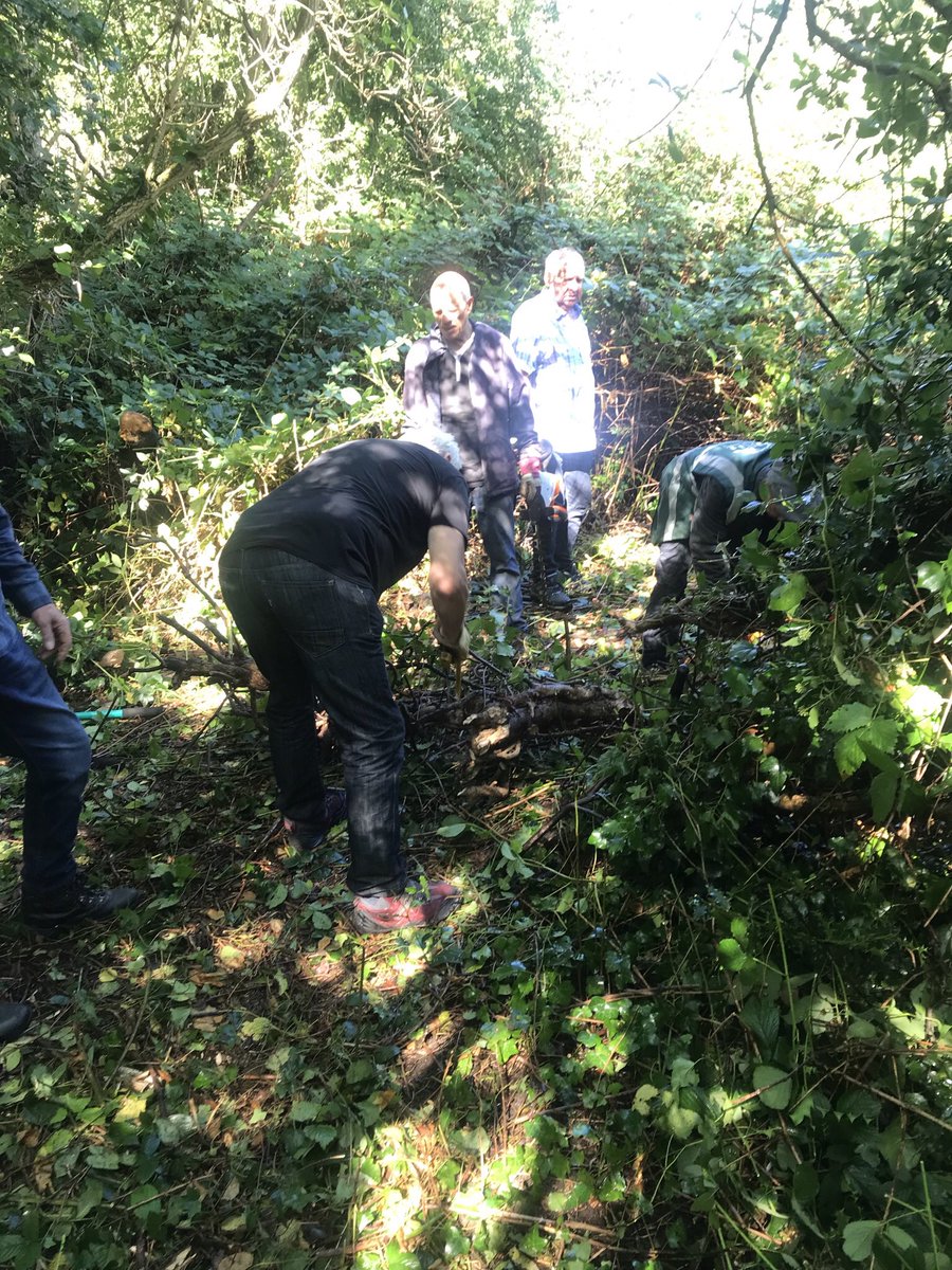 BroomhillPark_'s tweet image. Volunteers got back to work yesterday with our Thursday workgroup resuming. They got stuck in to opening up a new pathway, it will take some more work but after just 2 hours it’s really getting there already! 
#Localparks #volunteer #outdoors #joinus #woodland #medway