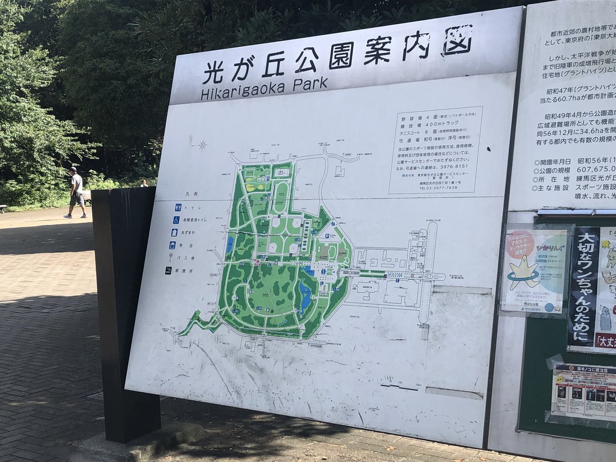 Tokyo Fox 東京狐 Went To Hikarigaoka Park Nerima Ku In The Early Morning Sunshine