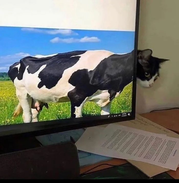 .<a href="/g0tmi1k/">g0t mi1k</a> ? (sorry, just had to)