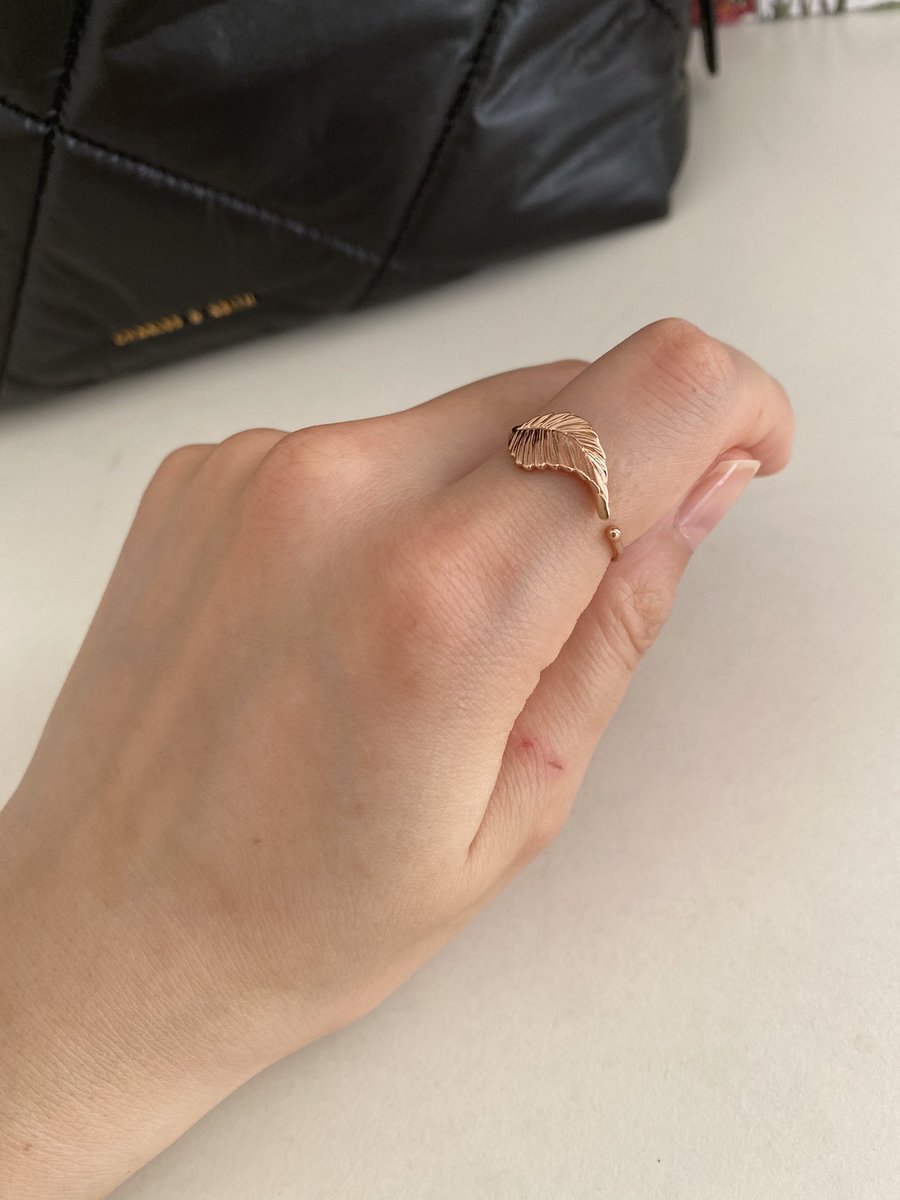 佐恵 あつ森 على تويتر ついでに寄ったチャールズ キースでバッグとリングを衝動買いしてしまった 値段がどれも安くてびっくりした シンガポールのブランドらしいけど シンガポールの物価で価格設定してるから安くて高見えらしい 今度靴買うかも