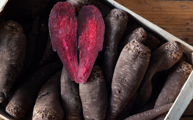 Freshview Foods tweet media