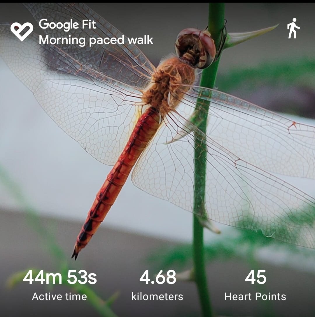 techie_ankit's tweet image. Good start to the day.