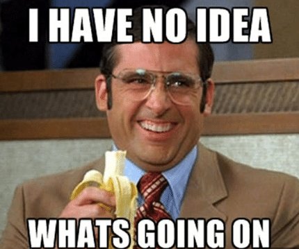 Action Network tweet media