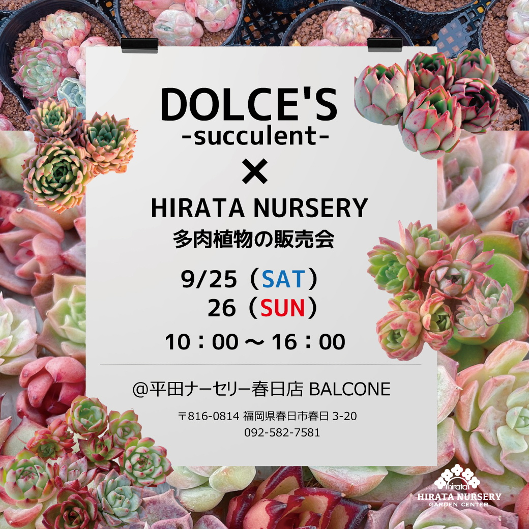 Hirata Nursery Hirata Nursery Twitter