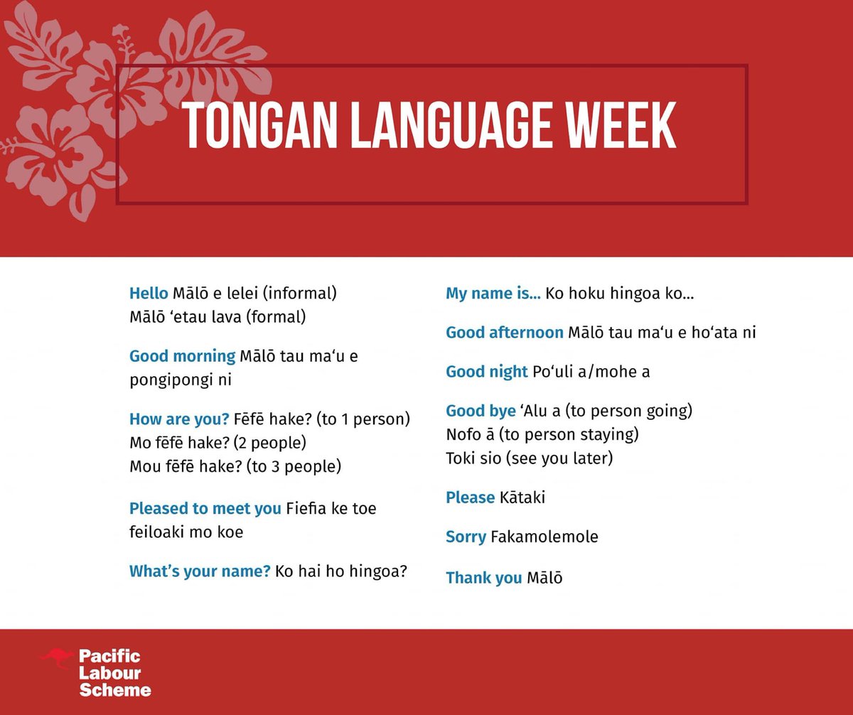 lauakimasima's tweet image. Some useful phrases to learn since everyone is posting anything but 🤪😂 

#TonganLanguageWeek