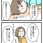 軽い言い合いに発展するほど意見が分かれるも、あの教科だけは･･･!教科のイメージカラーに関するお話!