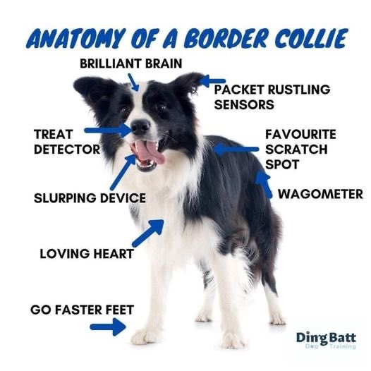 NimmoDeb's tweet image. 