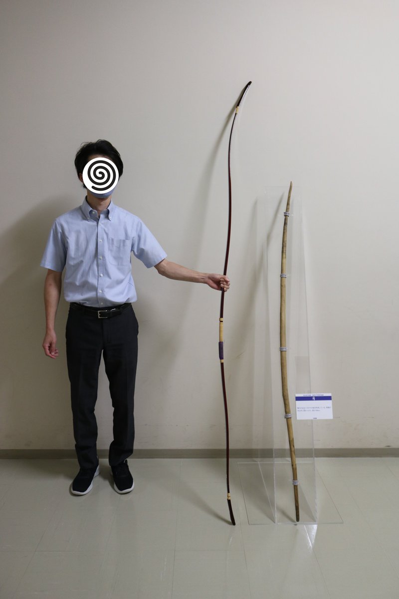 9月10日は #弓道の日 ということで、当館(収蔵庫保管)の弓をご紹介🏹 長野市川田条里遺跡から出土した弥生時代後期の弓で、長 さ166㎝、イヌガヤという木で作られています。弓弭(ゆはず)もしっかりしてます🧐 今の和弓を並べてみましたがどうでしょう？彼は元弓道班です ..., image size:800x1200