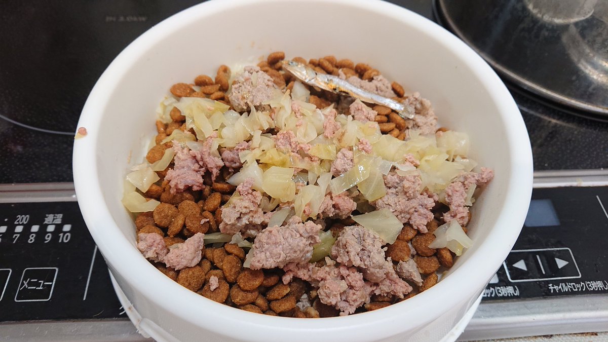 島犬デミくん 昨日は爆食モードだったので トッピング無しで沢山ドックフードを食べてくれました お母ちゃんは楽だったよ そして今日は食べませんモード 獅子肉とキャベツトッピングしても食べません 保護犬 手作り犬ごはん 島犬デミくん 犬好き