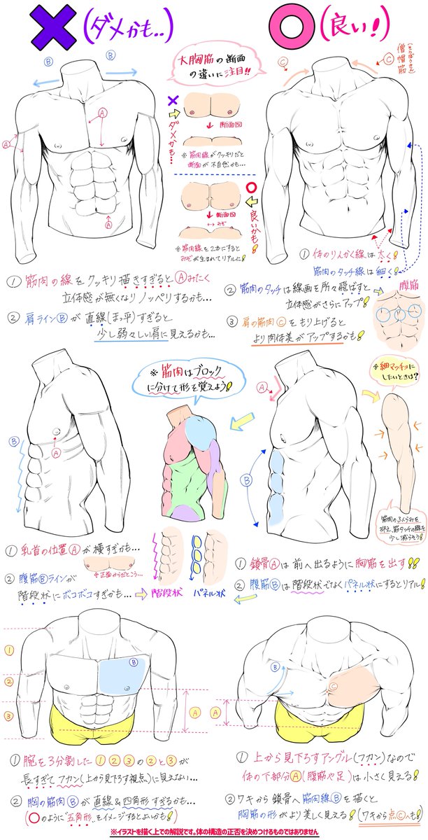 女性と男性の人体をデッサンするコツ 