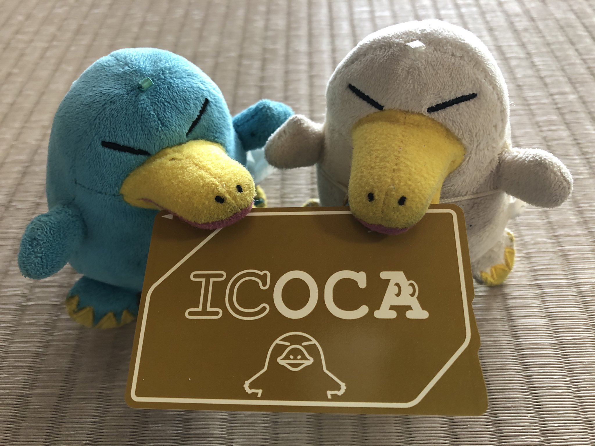 黄金のICOCA - 通販 - www.photoventuresnamibia.com