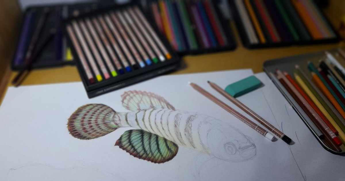 RogrioSuzart10's tweet photo. Back to the killies! (In progress)
By Rogรฉrio Suzart
#killifish #killi #killies #peixesornamentais #peixe #fishes #freshwateraquarium #freshwaterfish #aquario #aquarionatural #aquarismo #aquarium #naturalaquarium #aquarism #bettafish #betta #guppy #art #ictiologia #ictiology https://t.co/4UMopUuE1R