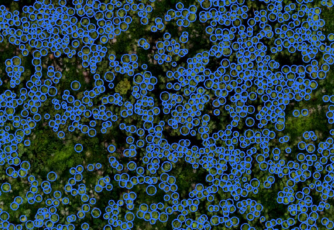 wslerry's tweet image. The machine getting matured.. #feedthemachine #teachthemachine