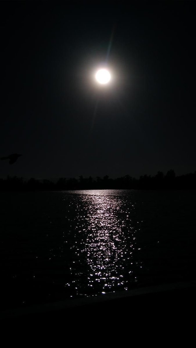doxxxx's tweet photo. I need to find a darkened corner.
A lightless corner. Where it's safer and calmer. https://t.co/6GOVQE24XQ