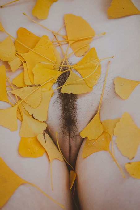 Hump me hump me have a great fall?  🥚 https://t.co/t412UEU7Qv