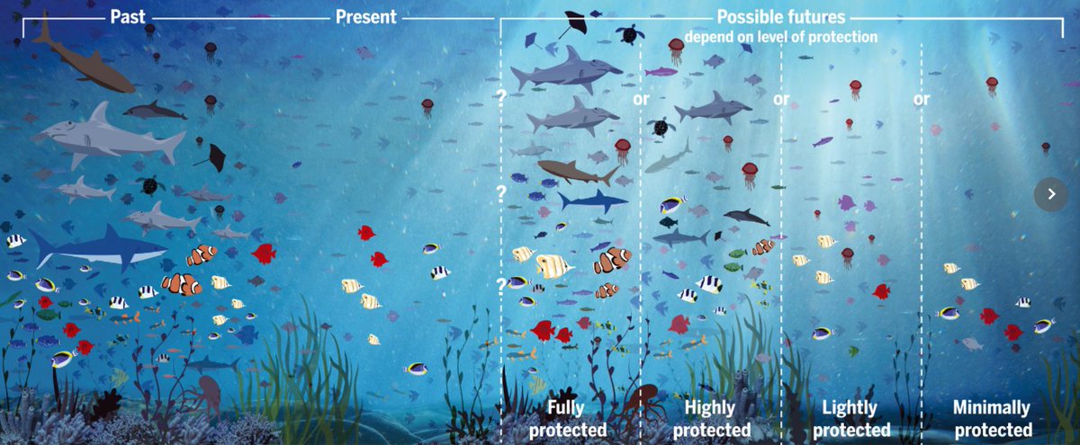 ViitasaloMarkku's tweet image. A must read in @ScienceMagazine today: The #MPAGuide: &quot;Which regions are labeled as MPAs varies..., from those that full protect marine species... to those that permit everything from intensive fishing to mining.&quot; #MPAs #MarineBiodiversity @SYKEinfo  science.org/doi/10.1126/sc…