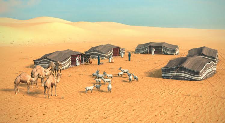 Человек в пустыне. Бедуины саудовской аравии. Бедуины в израиле. Занятия людей пустыни. Фелидж жилище бедуинов.