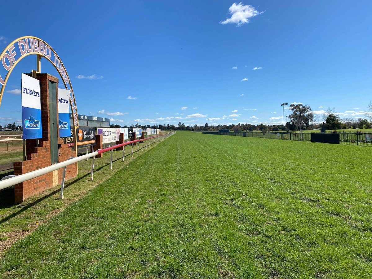 Conditions have been kind to us this week and we're shaping up for a Good-4 track at our 10-Race Dubbo City and Gilgandra Toyota Gold Cup Card this Sunday.

Dubbo Turf Club, #WhereYouCanWinFromAnywhere