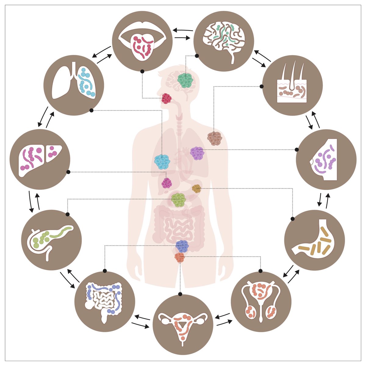 All of us <a href="/Elinav_DKFZ/">Microbiome & Cancer Elinav Lab at DKFZ</a> are proud to contribute a timely review on #microbiome &amp; #cancer
<a href="/Cancer_Cell/">Cancer Cell</a>, headed by
@NyssaCullin, Camila Azevedo,
<a href="/CThoeringer/">Christoph Stein-Thoeringer, MD</a>, <a href="/StraussmanR/">Straussman_Lab</a>, <a href="/EranElinav/">Eran Elinav</a>.

cell.com/cancer-cell/fu…