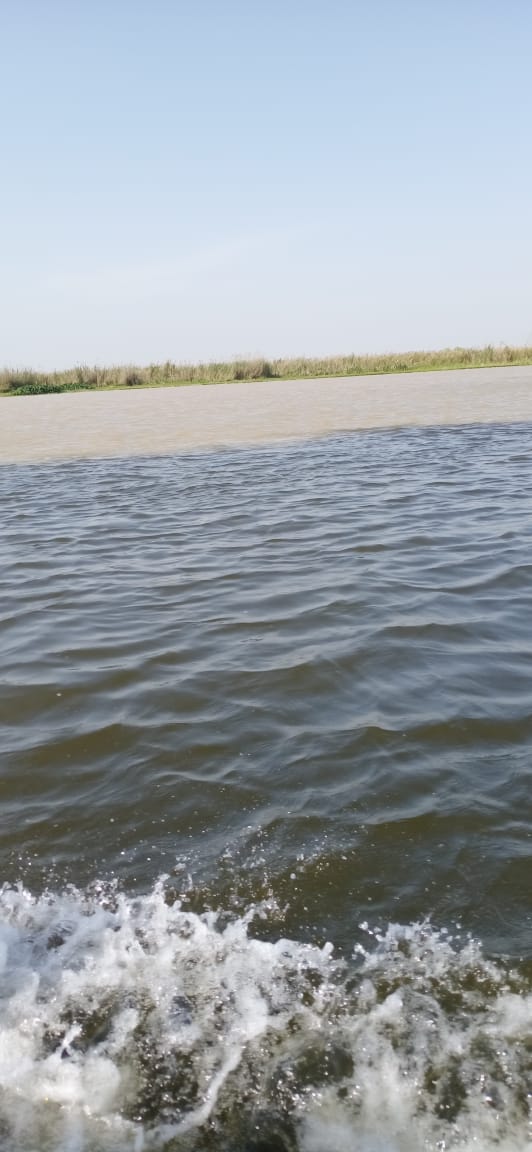 Save Panjaab Rivers tweet media