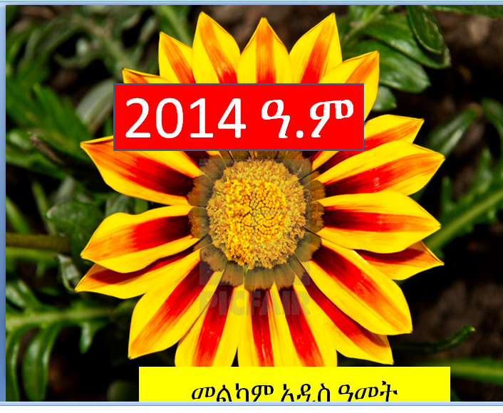 እንኳን ለ2014 ዓ.ም ዋይዜማ በሰላም አደረሳችሁ፡፡ዘመኑ የተባረከ፤የሰላም፤የጤና፤የበረከት እንዲሆንልን ተመኘሁ፡፡እግዚአብሔርም ከሀገራችን ላይ ያንዠበበውን መከራ እንደ ጉም ይግፈፍልን፡
መልካም ዓዲስ ዓመት