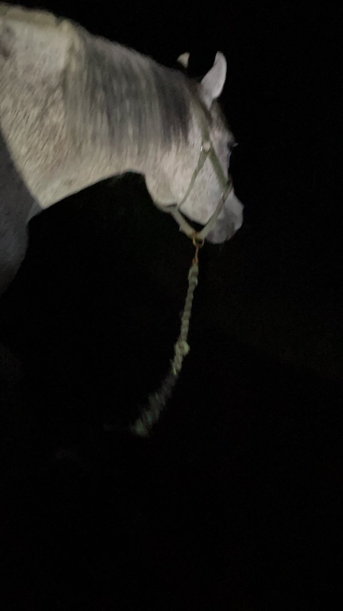 Claridge tweet media