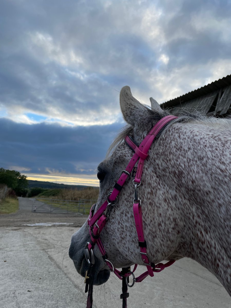 Claridge tweet media