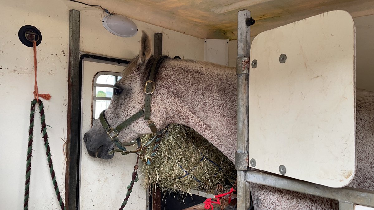 Claridge tweet media