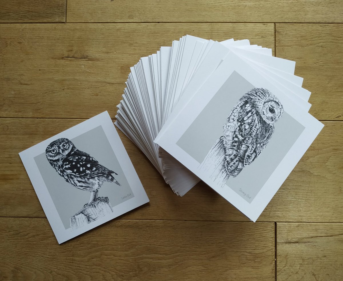 inkling2's tweet image. I've been busy card making ready for my first  event since lockdown and here are my new Owl cards! 😊 #EarlyBiz #handmade #owls #bizbubble
