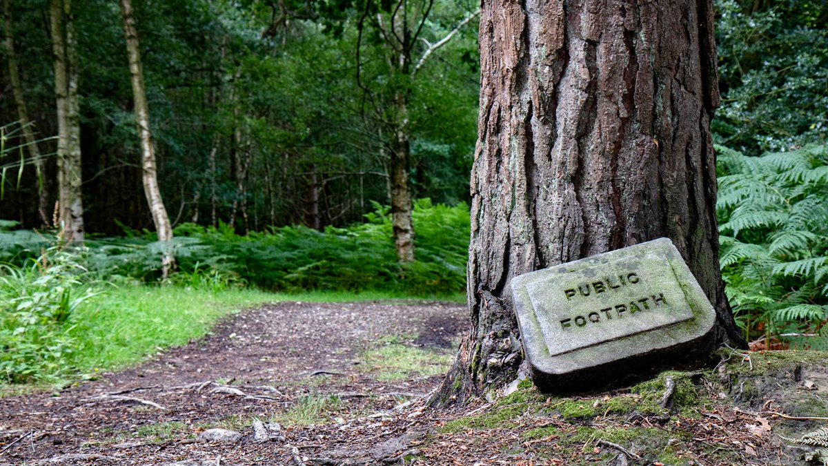 RamblersGB's tweet photo. This #FootPathFriday the spotlight is on the #Wealdway!
🚶 82 miles
➡️ Thames to the Channel
🤗 Opened 40 years ago thanks to local Ramblers members!
That's 40 yrs of connecting people to the natural world, improving #AccessToNature for everyone across Kent & Sussex😍@highweald https://t.co/uHadsAlUH4