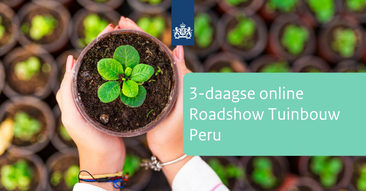 Wil je internationaal #zakendoen in de Peruaanse groente- en #fruitsector? Meldt je dan aan voor de digitale Roadshow Tuinbouw #Peru van 16 t/m 18 november 2021. Volg de link voor meer informatie -> bit.ly/3vJzPRc <a href="/AgriPeruNL/">AgriPeru</a> <a href="/AgriColombiaNL/">AgriColombia</a> <a href="/AgroBericht/">AgroberichtenBuitenland</a> <a href="/HollandHouseCol/">HollandHouseColombia</a>