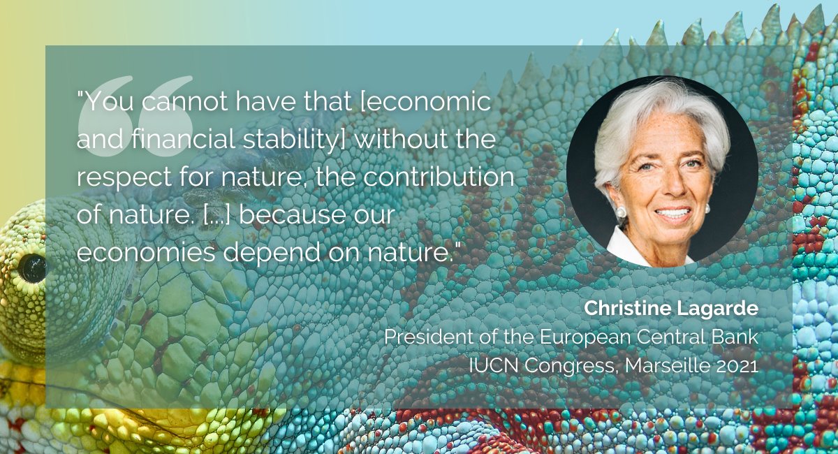 "We rely on oxygen to live, we rely on water to drink, we rely on good food to survive.

But all those very precious assets are often undervalued in economic assessment &amp; frequently not included at all."

—Christine <a href="/Lagarde/">Christine Lagarde</a>, President of the <a href="/ecb/">European Central Bank</a> at #IUCNCongress

#ForNature