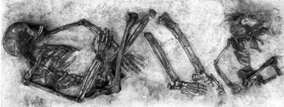 New article online: Qafzeh 9 Early Modern Human from Southwest Asia: age at death and sex estimation re-assessed in HOMO @LaScArBx @CIAS_UC @PACEA doi.org/10.1127/homo/2… #paleoanthropology #humanevolution #anthropology #fossilfriday