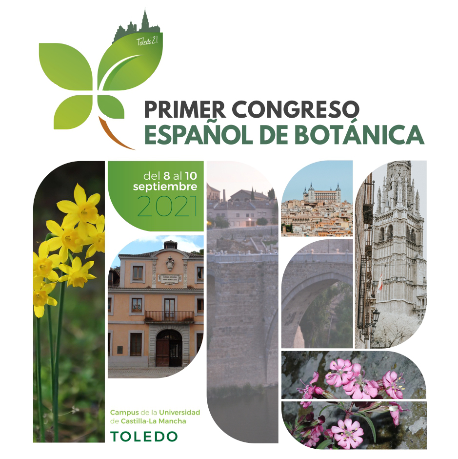 IBB_botanic's tweet photo. Investigadors de l’IBB han assistit al Primer Congrés Espanyol de Botànica organitzat per la SEBOT i han participat en diversos tallers i ponències i presentat 5️⃣ pòsters #SEBOT2021 https://t.co/MJ98aHFzGk