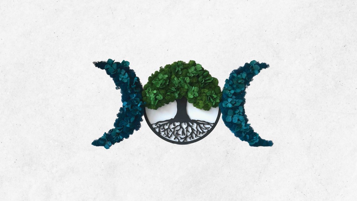 Mossimag tweet media