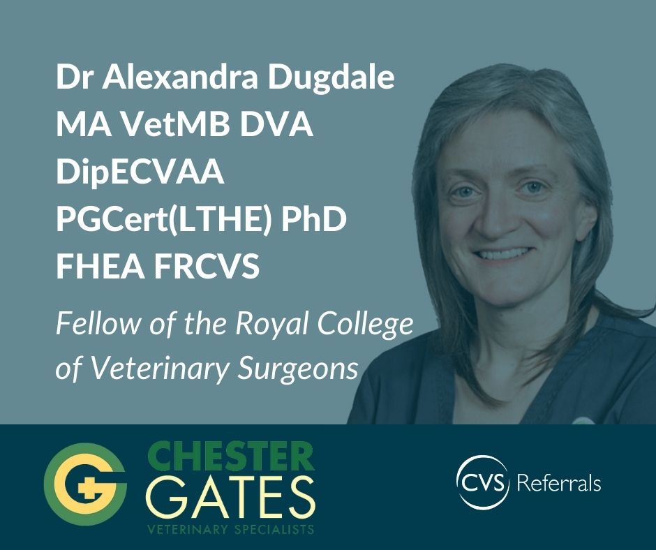 CVSGroupPlc's tweet photo. Congratulations to Alex Dugdale from @CGVetSpecialist, who recently joined the RCVS fellowship for her 'Meritorious Contributions to Clinical Practice.'
Read more here: https://t.co/pp2KckOGMu
#thisisCVS #vetmed #veterinary #ClinicalCare #referral https://t.co/CBj27gSOkc
