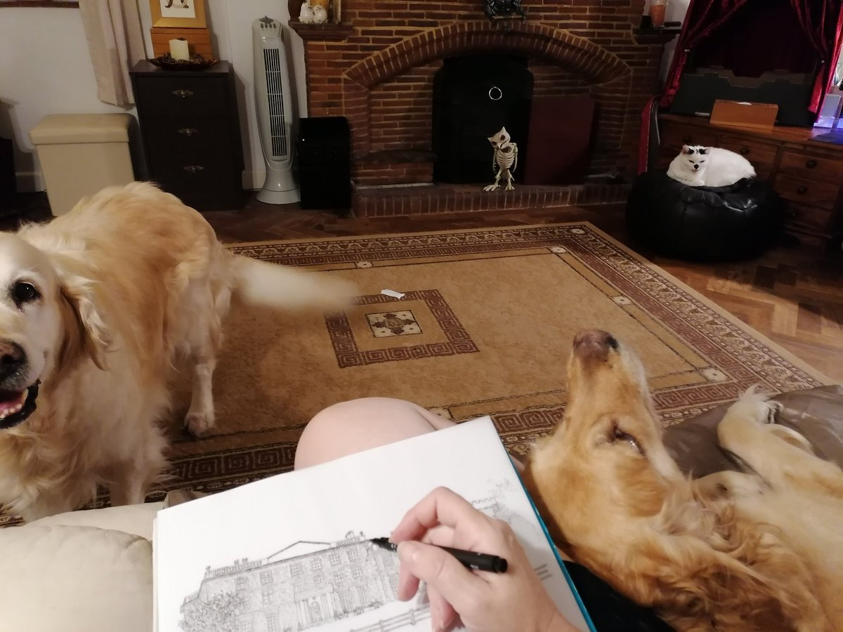 LauraBrambles's tweet image. A bit of sketchy sketching ..... with a little help from Brambles assistants 😂
@hommehouse