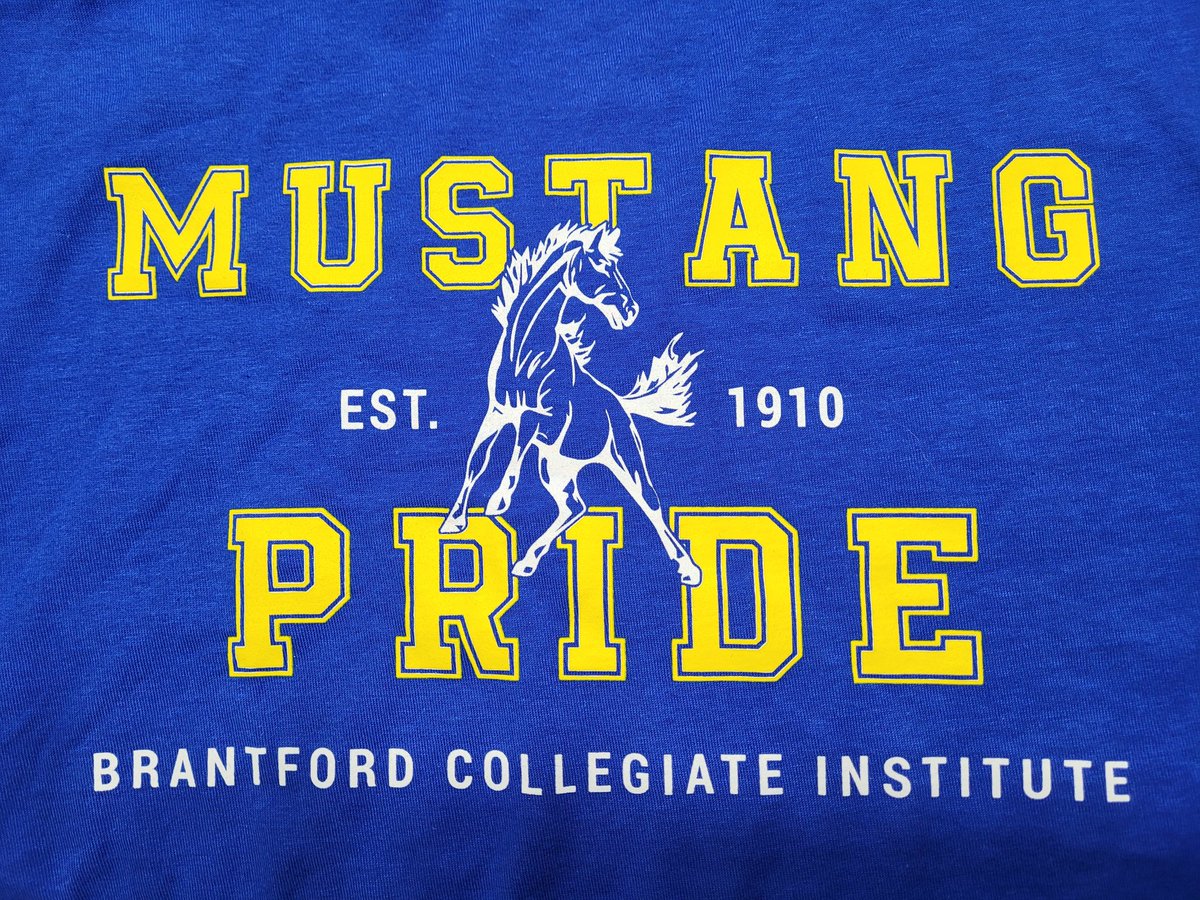 Mustangs, wear your blue and gold today and show some school spirit. Look for Ms Austin outside the school atrium before classes begin and at the start of lunch to have your photo taken for yearbook! <a href="/BCIOFFICE/">BCI Main Office</a> <a href="/BCIVS/">BCI Mustangs</a> <a href="/bci_mustangs/">BCI Students Council</a>
