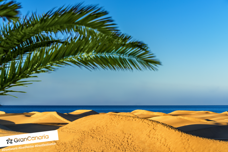 gctourism's tweet photo. Kilometric beaches, small coves... which is your favorite beach in #GranCanaria?
#SoMuchToLiveFor https://t.co/Og1THVz4tt
