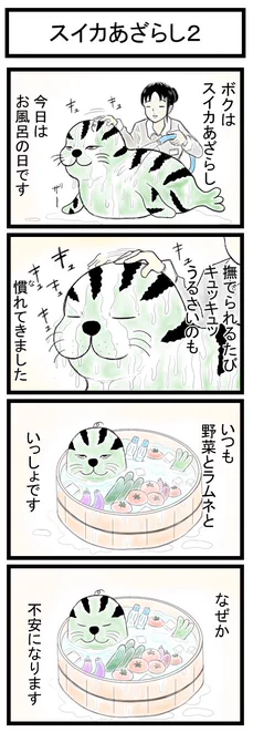 4コマ漫画「スイカあざらし2」 