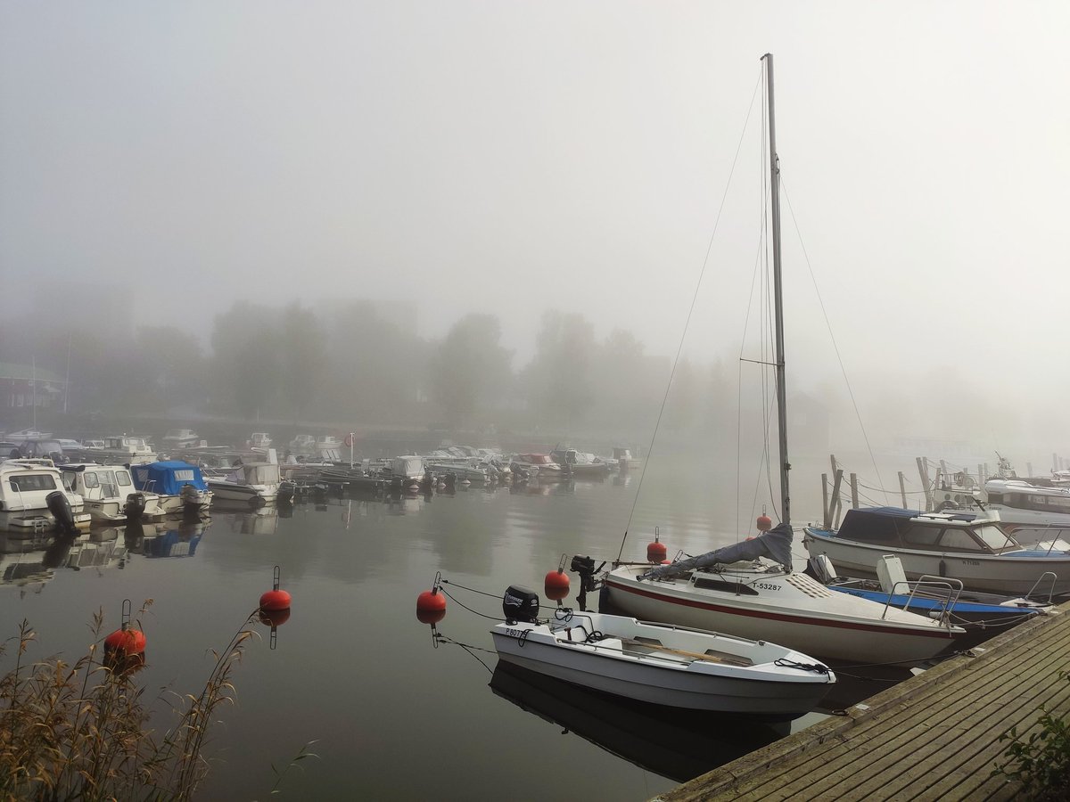 You know me, I'm... tweet media