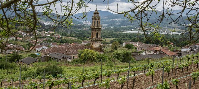 Ribeiro, la nueva dimensión del modesto gran vino blanco buff.ly/3jYzCqk #vinosribeiro #ribeiro