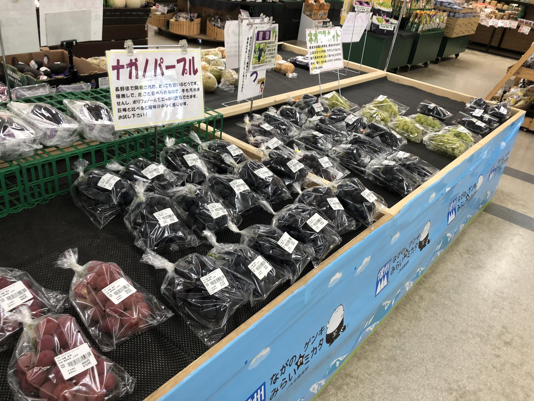 信州上田なないろ農産物 旬の農産物紹介 ナガノパープル 9月中旬 10月上旬 長野県オリジナル品種で 04年に登録された比較的新しいブドウです 濃厚な甘みが特徴で シャインマスカットと同じく皮ごと食べられます 上田市でも主に塩田地区などで