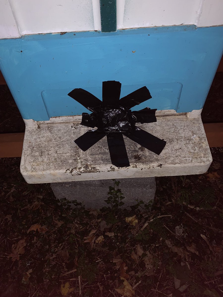 I really hope the bees stay at home today , I closed up a couple of hives for a few hours ,late last night - neighbours need to do some garden work close by