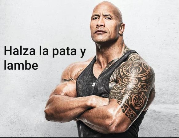 yonnyfundora's tweet photo. •Yo: Digo que tengo hambre

•Mi amigo licenciado en comedia con un Nobel y 2 master. https://t.co/fF5cfWkvvN