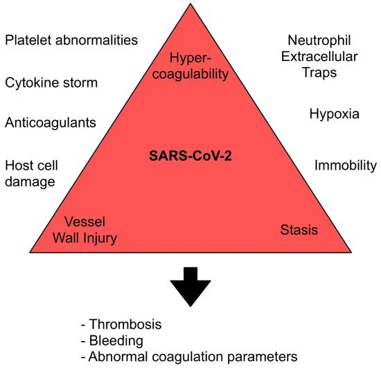 #MDPIJ 
📢A new publication in the the Section "Medicine &amp; Pharmacology" 

#Thromboembolism and Bleeding in #COVID-19 

🔗mdpi.com/2571-8800/4/3/…

#COVID-19 #thromboembolism #thrombosis