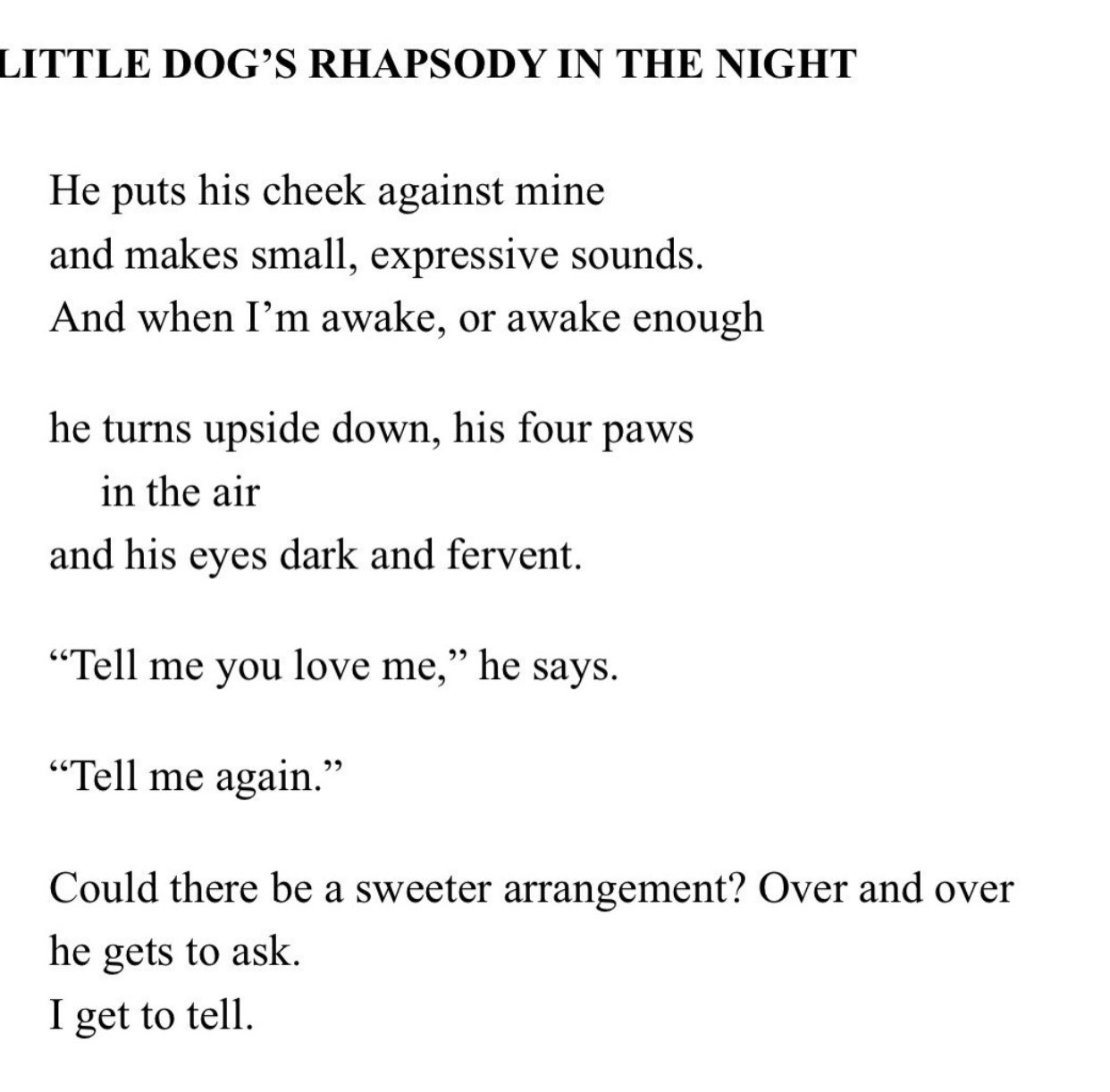Because Mary Oliver has better words than I did. Happy birthday to the centre of my universe, my best bud, Ozzy! 