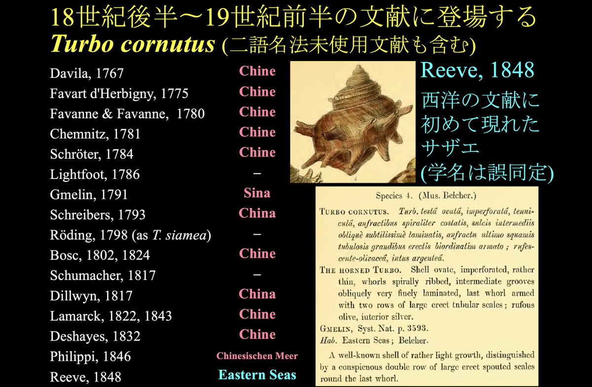 大都会のど真ん中でも新種は見つかる ハッシュタグ 新種発見のエピソード から興奮が伝わってきておもしろい 3ページ目 Togetter