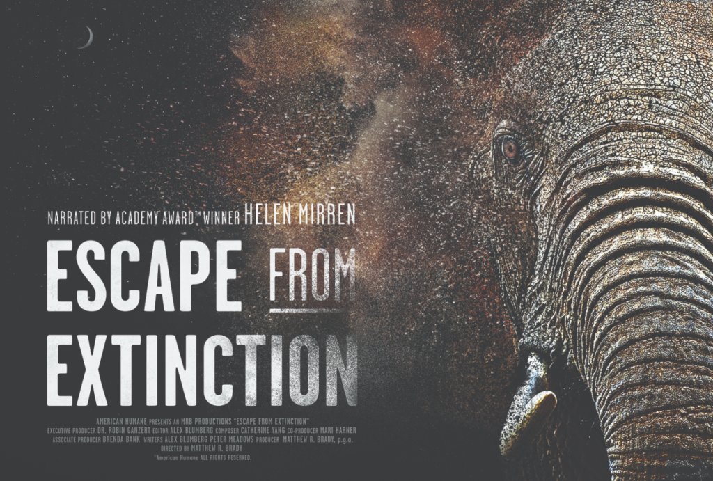 It’s our last chance to save 1 MILLION species… Find out how in new documentary #EscapeFromExtinction, showing Tue 21 Sep 🌍🐒